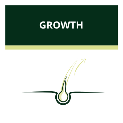 Luxéol Hair Growth Collection – Shampoo, Serum, Conditioner & Supplements for visibly longer, stronger hair.