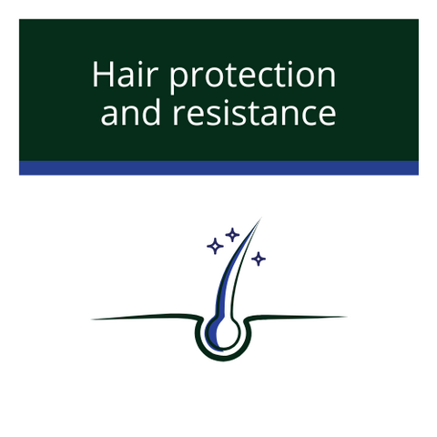 Hair protection and resisance category icon