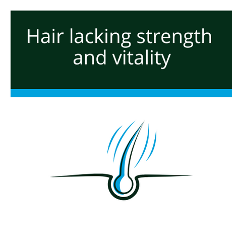 Hair lacking strenght and vitality icon category