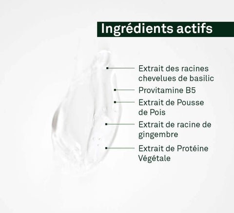 Active ingredients diagram: pea sprout, ginger root, basil hairy root culture, panthenol, hydrolyzed vegetal protein.