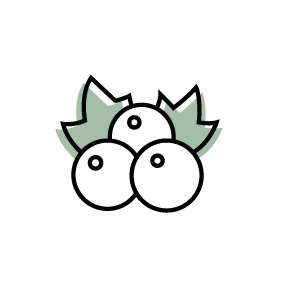 cassis icon