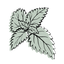 ortie icon
