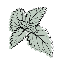 ortie icon