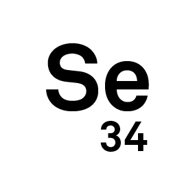 selenium icon